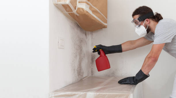 Professional Bathroom Mold Removal technician working in Rapid City, MI