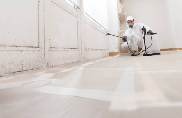 24/7 Emergency Bathroom Mold Removal experts in Rapid City, MI